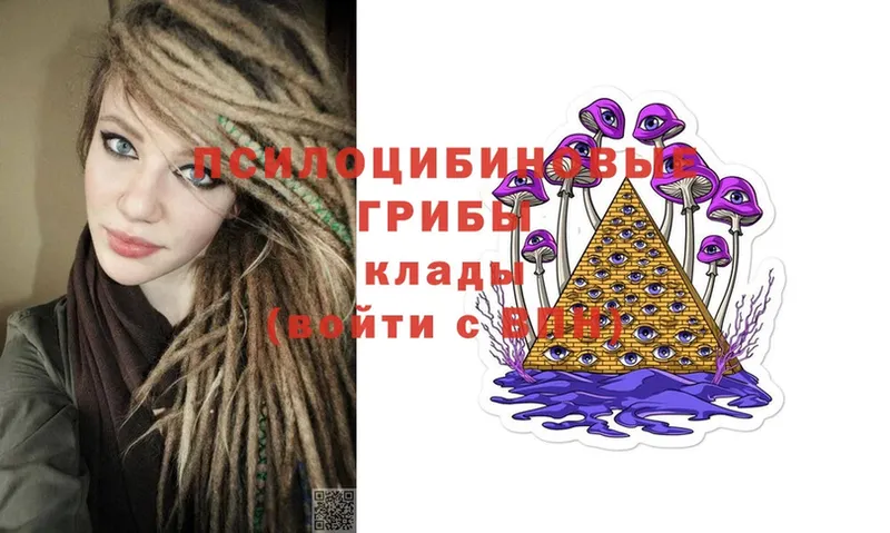 Псилоцибиновые грибы Cubensis  darknet состав  Барабинск 